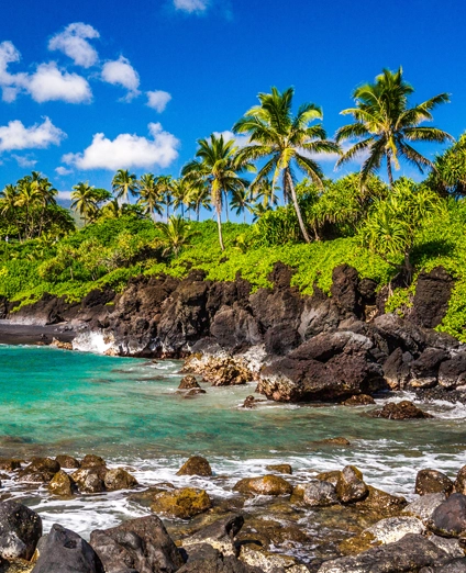 Maui, Hawaii, USA